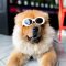 alan-king-380383-unsplash.jpg